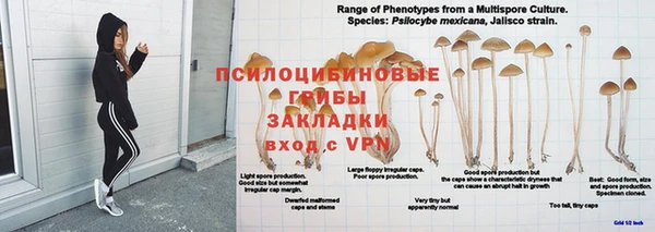 герыч Няндома
