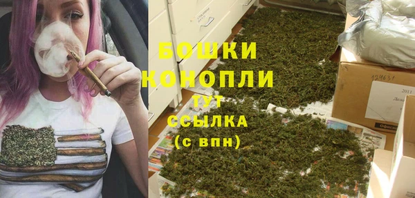 трава Новодвинск