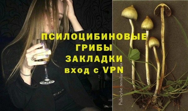 дмт Зерноград